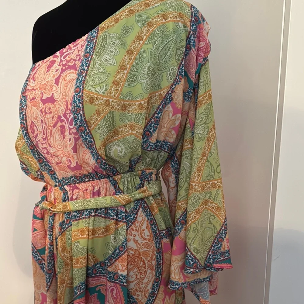 Elegant Multicolor One-Shoulder Dress - Picture 4 of 7